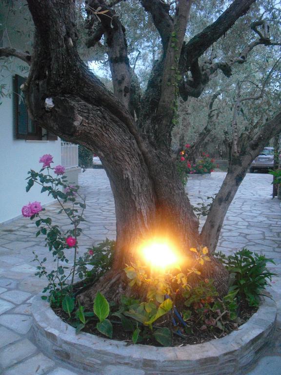 Guesthouse Irene Áfissos Ngoại thất bức ảnh