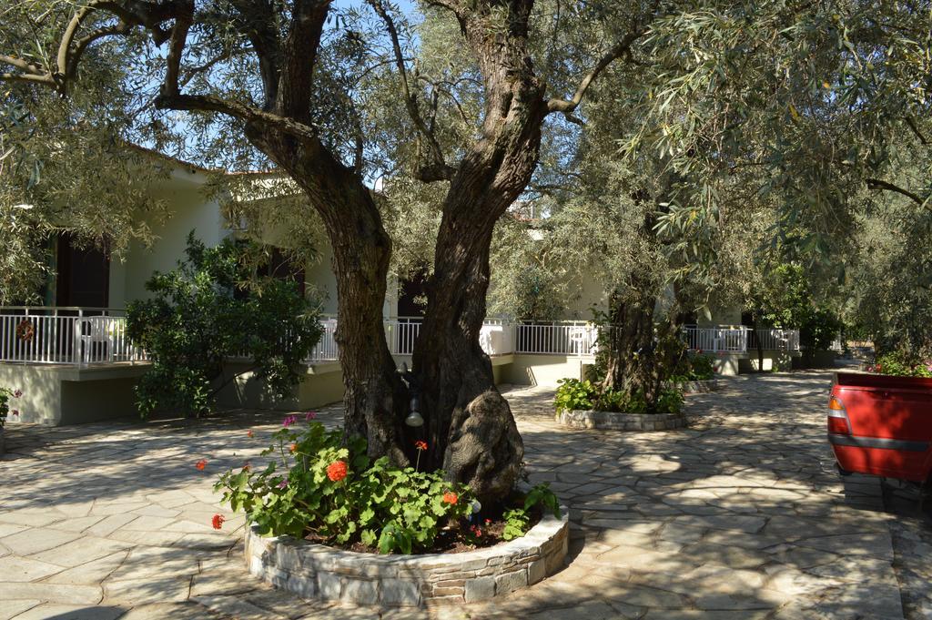 Guesthouse Irene Áfissos Ngoại thất bức ảnh